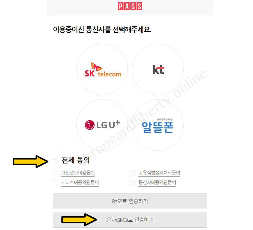 Throne & Liberty How To Play Korean Version 